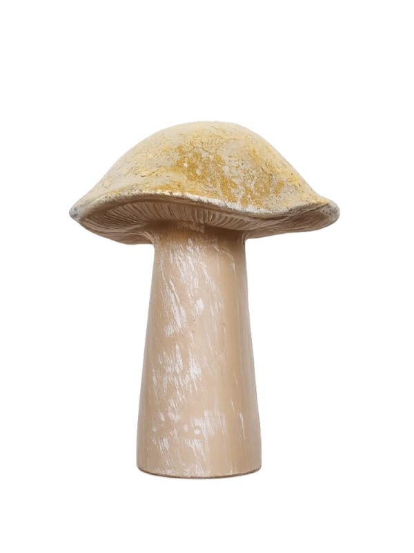 grzybek duzy zloty kapelusz.png