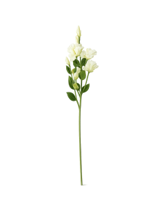eustoma biala sztuczna.png