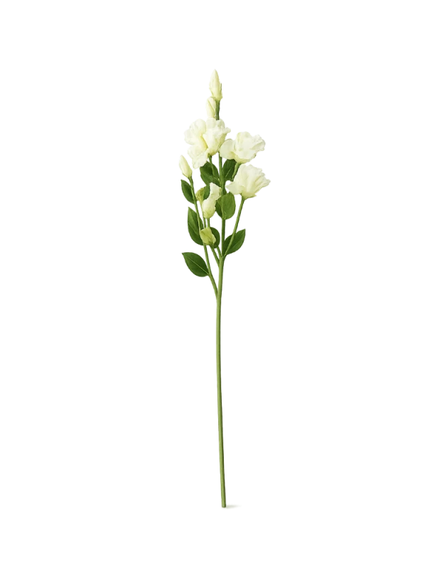 eustoma biala sztuczna.png