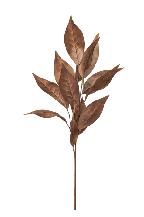 roslina dekoracyjna liscie brazowe.png
