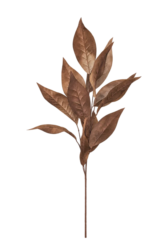 roslina dekoracyjna liscie brazowe.png