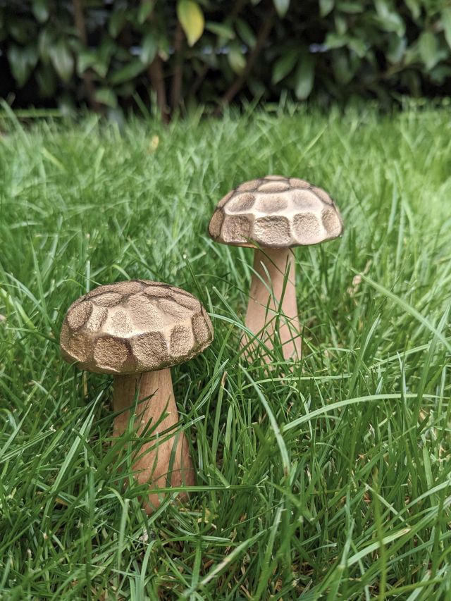 MAŁY GRZYBEK Z METALOWYM KAPELUSZEM