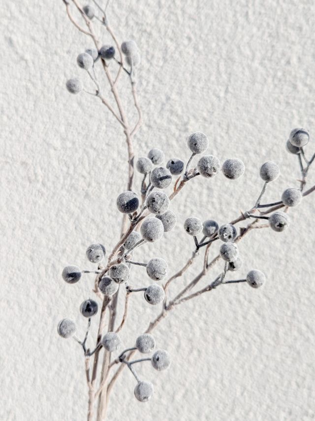 OZDOBNA GAŁĄZKA KULECZKI SZARE