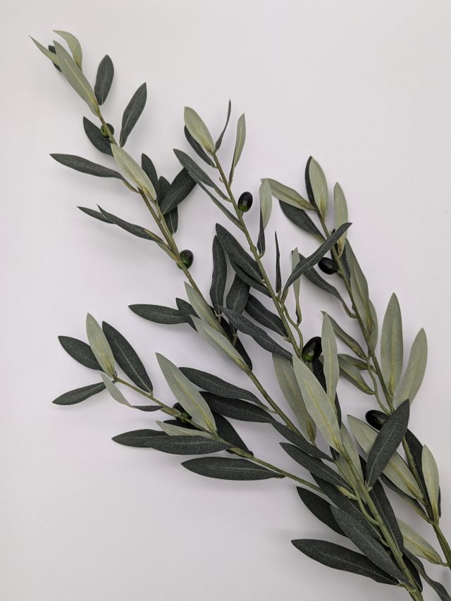 GAŁĄZKA OZDOBNA OLIWNA