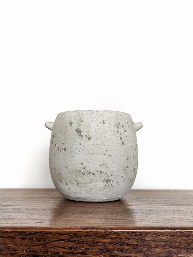 WAZONIK SZARY RUSTYKALNY