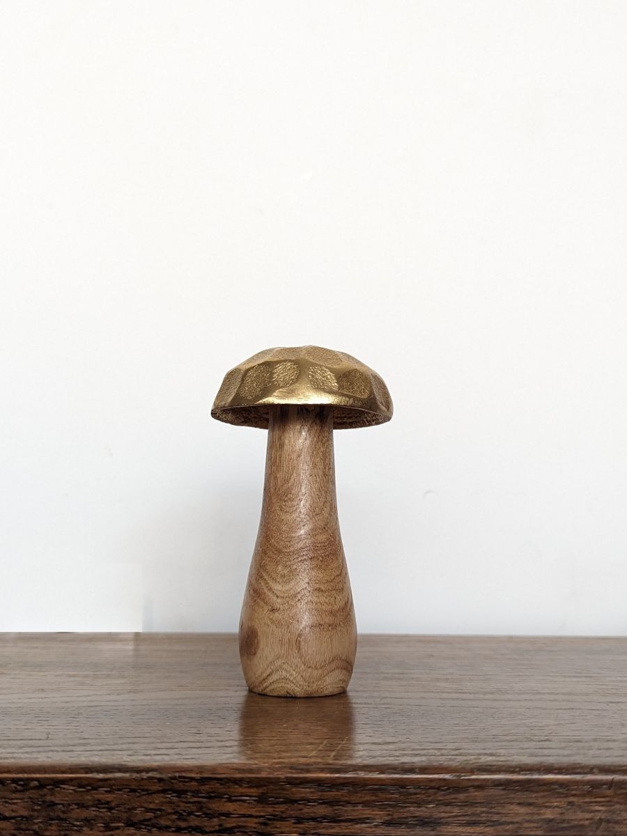 MAŁY GRZYBEK Z METALOWYM KAPELUSZEM