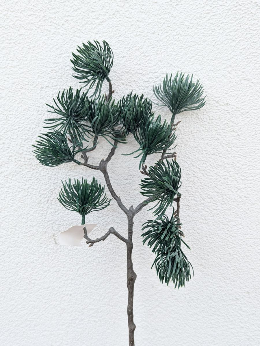 GAŁĄZKA ZIELONA IGLASTA