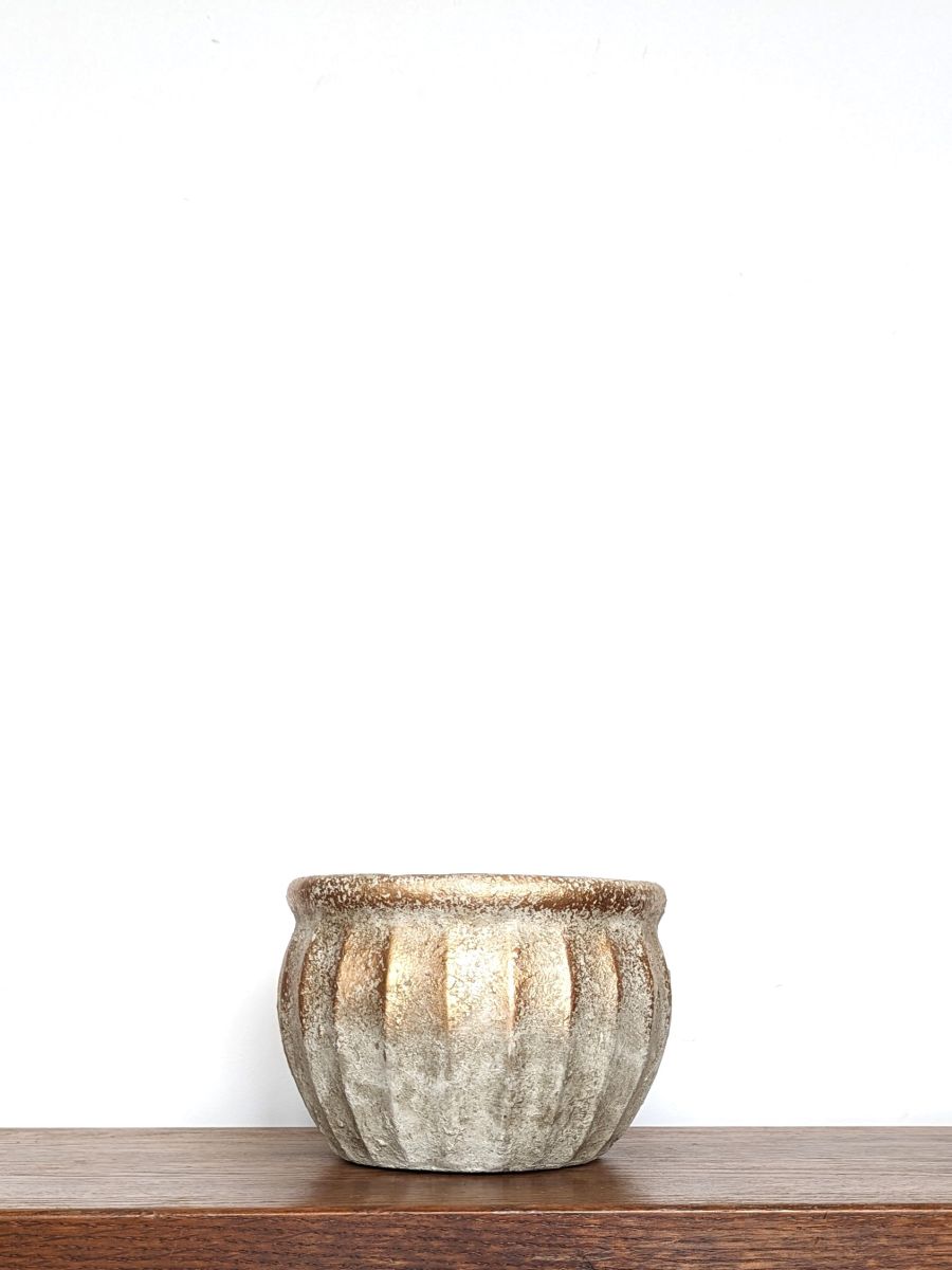 DUŻA OSŁONKA BIAŁA POZŁACANA PRZETARTA 14CM