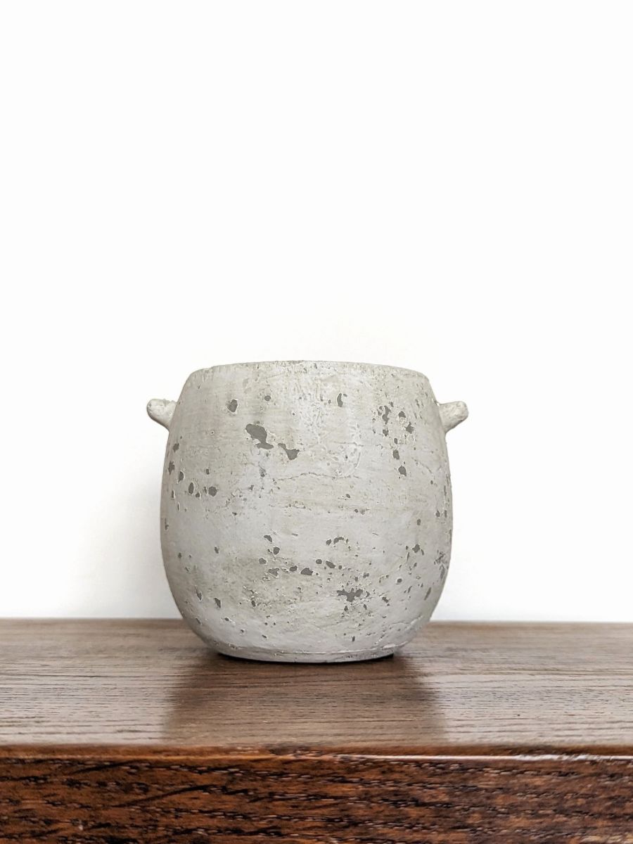 WAZONIK SZARY RUSTYKALNY